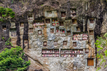 Views in detail of Rantepao and Tana Toraja Regency. Shoeing the graves, rice fields and markets....