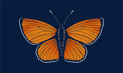 scarce_copper_on_dark_background