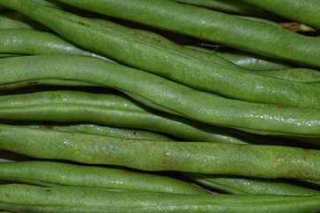 the background is an arrangement of long beans that are still fresh and green