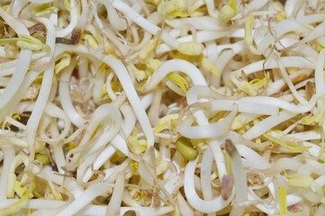 background in the form of good sprouts for fertility and pregnancy programs