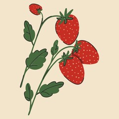 A branch of strawberries on a light background. Harvesting in the garden or forest. Delicious sweet food, snacks, dessert. Drawn by hand. Flat design, cartoon, vector illustration.