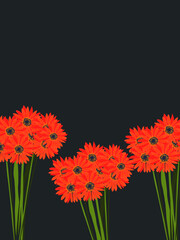 Bouquet of beautiful orange flowers on a black background. Place for text. Gerberas.