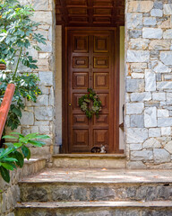 contemporary house entrance wooden door and young cat, Athens Greece