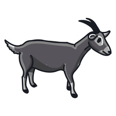 Hand drawn goat cartoon character illustration Animal.