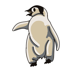 Hand drawn penguin cartoon character illustration Animal.