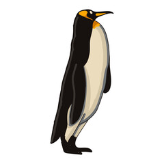 Hand drawn penguin cartoon character illustration Animal.