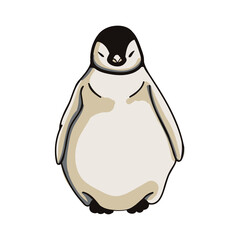 Hand drawn penguin cartoon character illustration Animal.