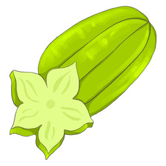 Star fruit fruit icon illustration