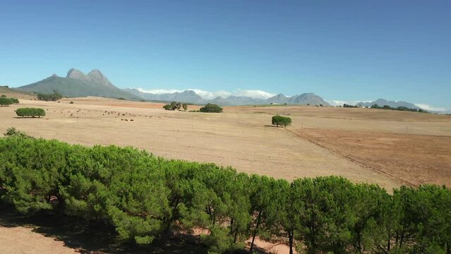 Serene View Of Nature At Simonsberg Nature Reserve In Stellenbosch Near Wine Estate In South Africa's Western Cape Province. Aerial Drone
