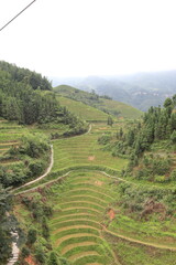 Fototapeta na wymiar Longji Rice Terraces in Guilin, Guangxi, China