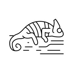 chameleon wild animal line icon vector illustration