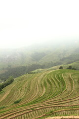 Longji Rice Terraces in Guilin, Guangxi, China