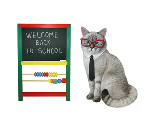 An ashen cat teacher in a tie and glasses is near a kids blackboard. Welcome back to school. White background. Isolated.