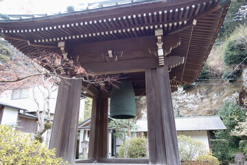 鎌倉　海蔵寺　Kamakura Kizouji-temple
