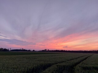 Dämmerung auf einer Agrarlandschaft. Der Himmel wird dunkel. Die Sonnenuntergänge im Westen mit Rötung. Der Mond erscheint am Himmel über der Wiese. Der Wald verwandelt sich in Silhouetten. Abend.