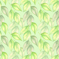Seamless watercolor  lemon leaves pattern isolated on light green background.Good for  textile,fabrics,package.