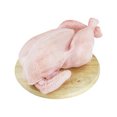 Birds: Raw Chicken, Hen, chick, Poultry raw isolated on white background, full depth of field