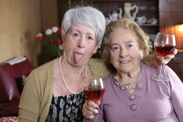 Senior female friends enjoying a cup of wine
