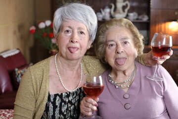Senior female friends enjoying a cup of wine