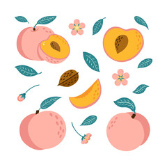 Juicy Ripe Sweet Peaches Set. Collection of whole, Half Sliced ,Chopped Nectarine, Flower and Leaves Vibrant Illustrations for logo, juice package, banner and menu design. Cartoon style