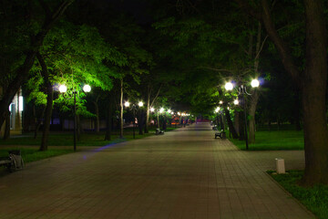 Night park in sommer.