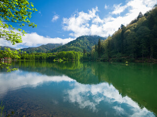 A beautiful lake view in the spring season. Reflection of forests on water and green nature image.