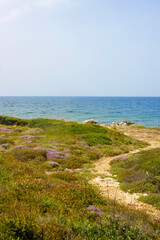 Coast of Salento from Leuca to Gallipoli. Apulia, Italy