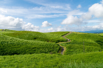 ミニチュア © Taka