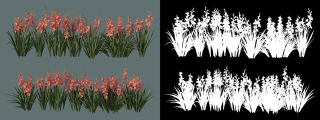 various types of trees and flowers
