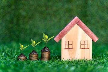 Investor of real estate.  The plants growing on money coin stack for investment home.   Investment mortgage fund finance and interest rate home loan,  green nature background Investment Concept