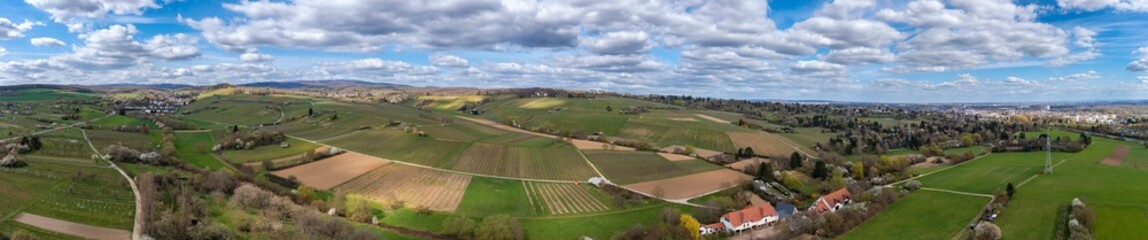 Bird's-eye view panorama of vineyards and orchards near Wiesbaden/Germany on a sunny spring day 