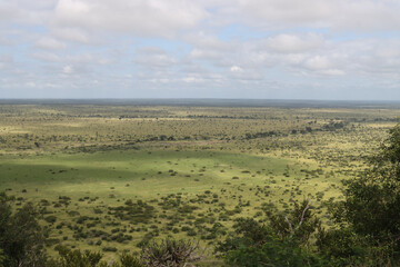 Obraz premium Kruger National Park, South Africa : Nkumbe lookout point