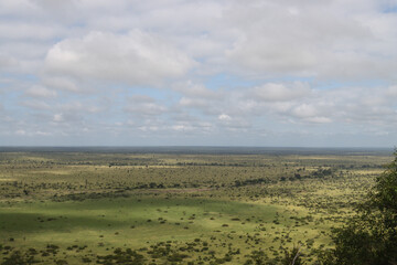 Fototapeta na wymiar Kruger National Park, South Africa : Nkumbe lookout point
