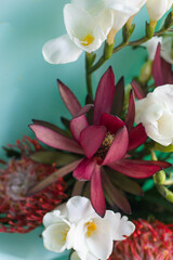 exotic bouquet of flowers. Leukadendron red and leukospermum, freesia
