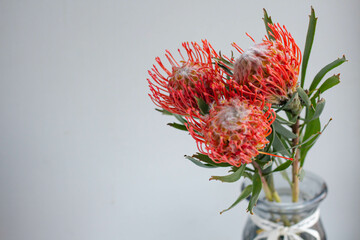 exotic bouquet of flowers. Leukadendron red and leukospermum, freesia