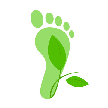 Green footprint icon with a green branch. Ecological concept