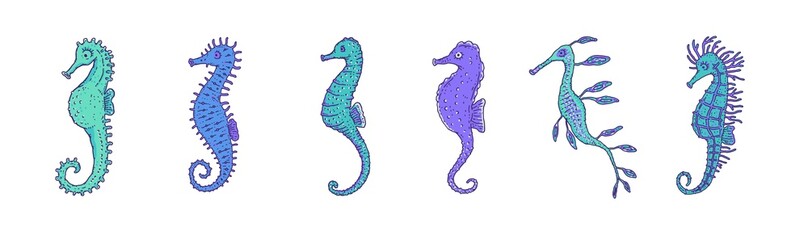 Set blue seahorses different forms. Vector wild ocean animals underwater life doodle line isolated illustrations.