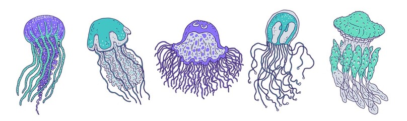 Set blue jellyfishes different forms. Vector wild ocean animals underwater life doodle line isolated illustrations.