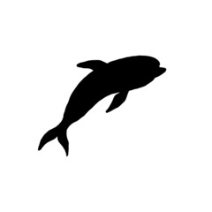 Dolphin silhouette jumping playful aquatic animal doodle vector Illustration.