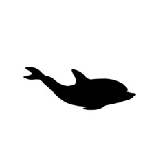 Dolphin silhouette aquatic animal doodle vector Illustration.