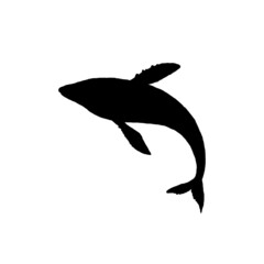 whale silhouette aquatic animal doodle vector Illustration.