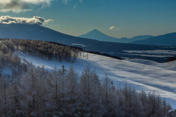 厳冬の霧ヶ峰から白く輝く霧氷と富士山