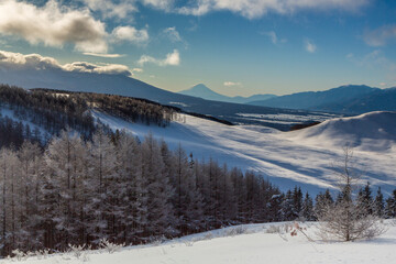 厳冬の霧ヶ峰から白く輝く霧氷と富士山