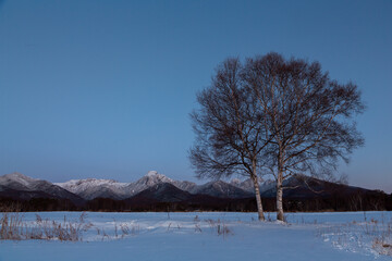 原村の雪原から八ヶ岳夕景