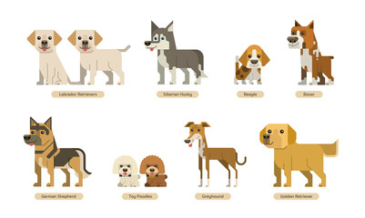 vector set of dogs with flat style