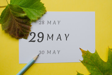 29 may day of month on a white sheet and the dates of the day earlier and later, written in simple pencil. Decoration with green leaves and yellow background.