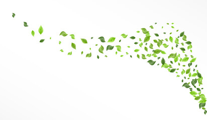 Swamp Greenery Realistic Vector White Background