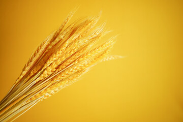 detail shot of wheat spikelets on table 