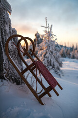 Vertical of a sleigh leaning on rocks against fir trees covered with snow at sunrise