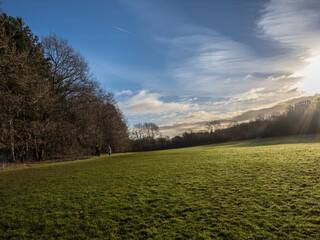 Obraz premium landscape with grass and sky